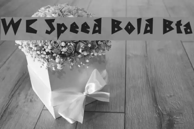 WC Speed Bold Bta Font examples