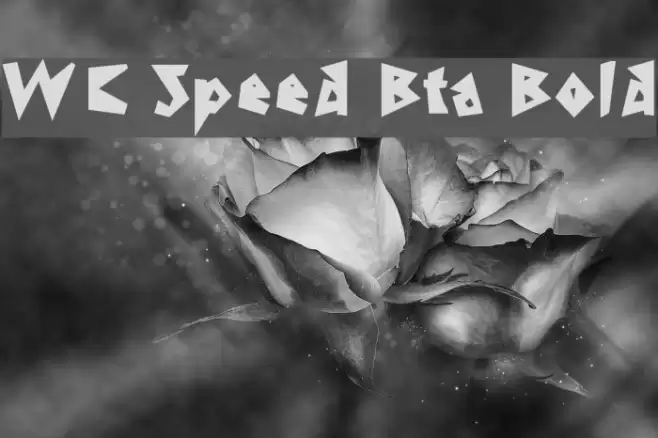 WC Speed Bta Bold Schriftart examples