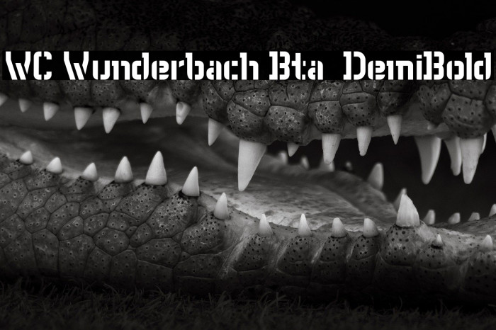 WC Wunderbach Bta  DemiBold Example 3