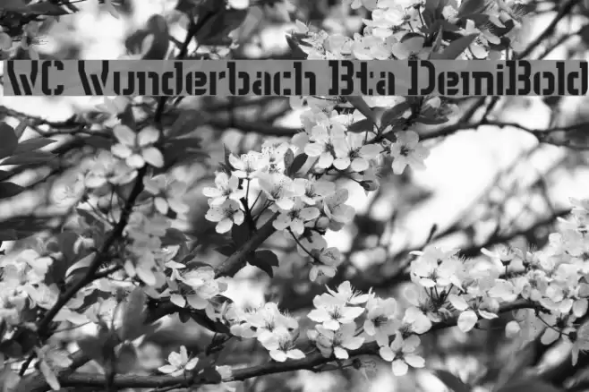 WC Wunderbach Bta DemiBold Fuentes examples