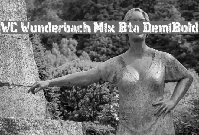 WC Wunderbach Mix Bta DemiBold Font examples