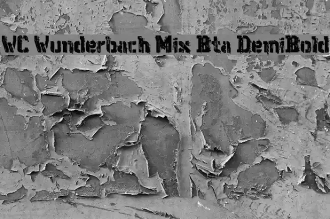 WC Wunderbach Mix Bta DemiBold Font examples