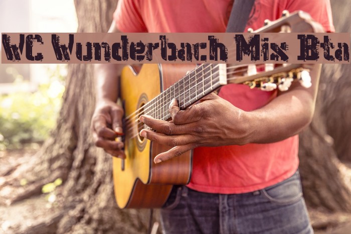 WC Wunderbach Mix Bta Font examples