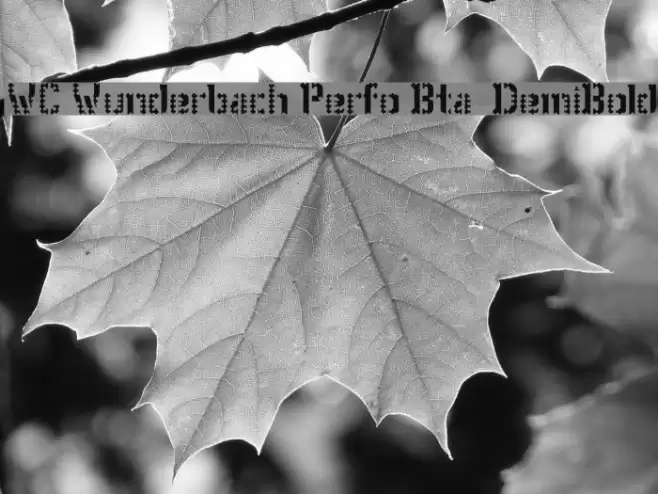 WC Wunderbach Perfo Bta  DemiBold Font examples