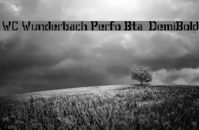 WC Wunderbach Perfo Bta  DemiBold Font examples