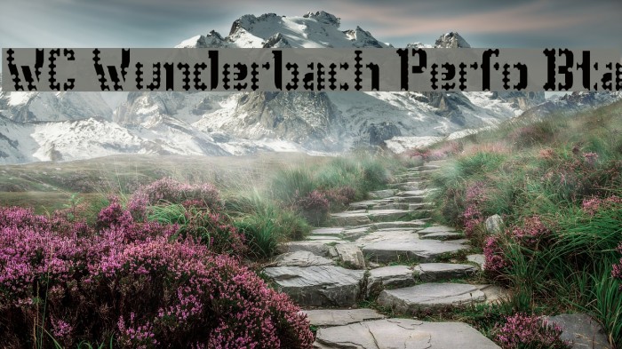 WC Wunderbach Perfo Bta Font examples