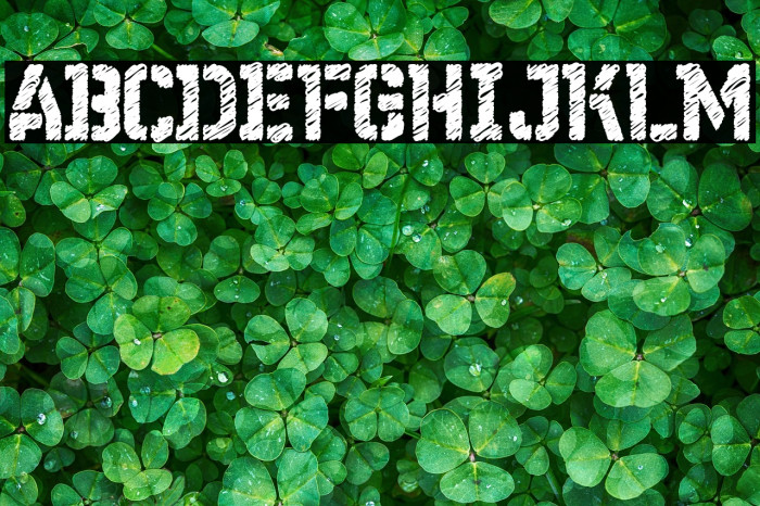 WC Wunderbach Rough Bta Example 2