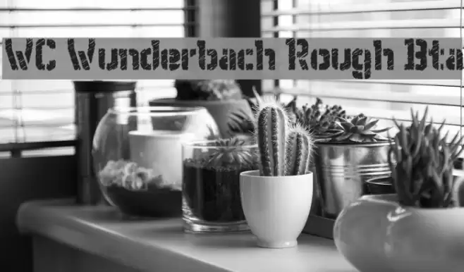 WC Wunderbach Rough Bta Polices examples