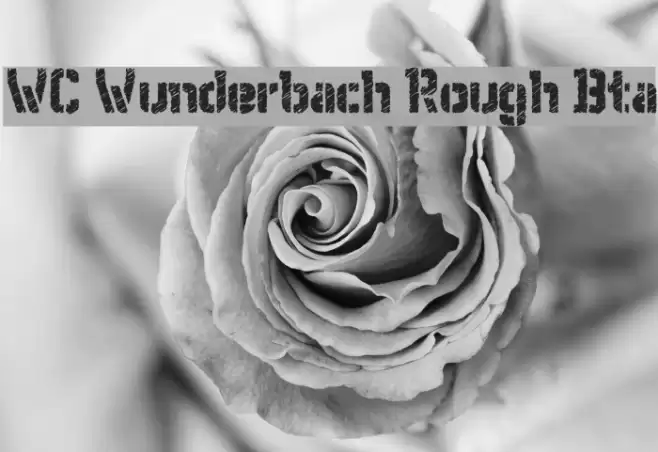 WC Wunderbach Rough Bta Polices examples