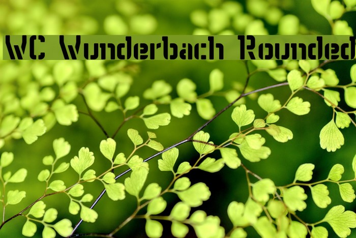 WC Wunderbach Rounded Example 2