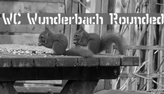 WC Wunderbach Rounded Font examples