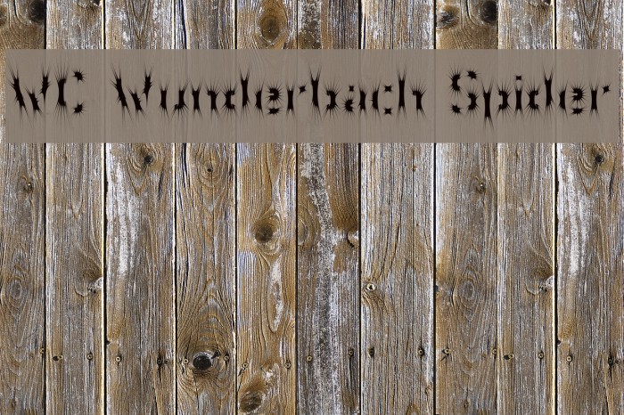 WC Wunderbach Spider Example 1