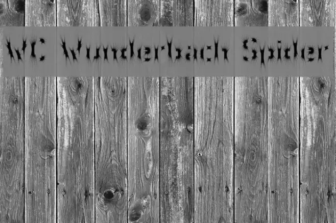 WC Wunderbach Spider Font examples