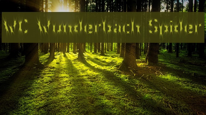 WC Wunderbach Spider Example 2