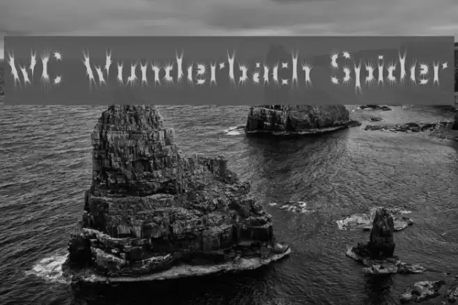WC Wunderbach Spider Font examples