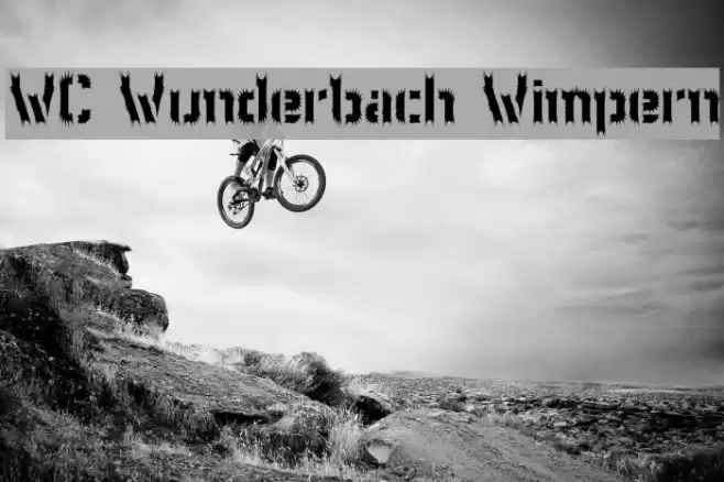 WC Wunderbach Wimpern フォント examples