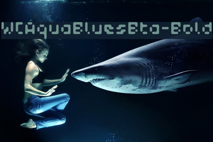 WCAquaBluesBta-Bold Example 1