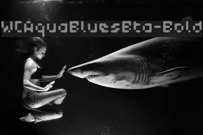 WCAquaBluesBta-Bold Font examples