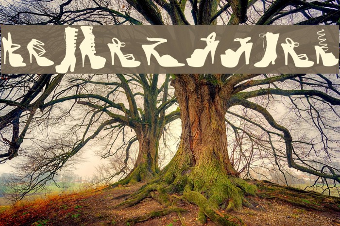 WCFetishBta Font examples
