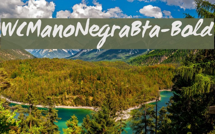 WCManoNegraBta-Bold Font examples
