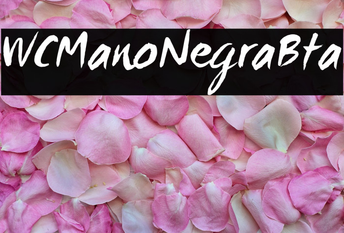 WCManoNegraBta Example 1