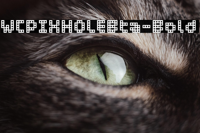 WCPIXHOLEBta-Bold Example 3