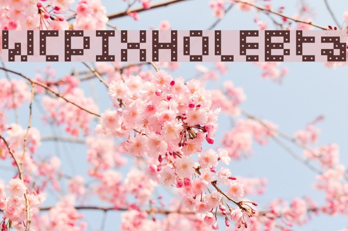 WCPIXHOLEBta Font examples