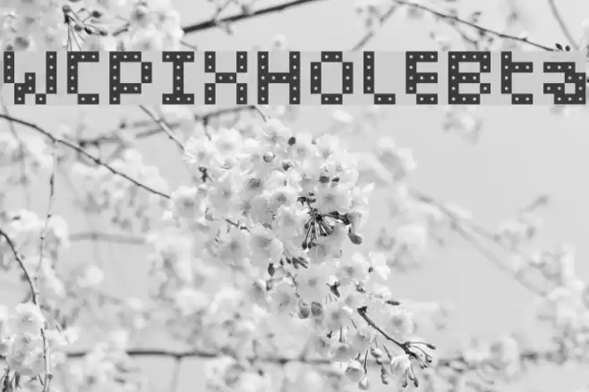 WCPIXHOLEBta Font examples