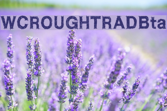 WCROUGHTRADBta Example 1