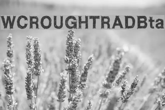 WCROUGHTRADBta Font examples