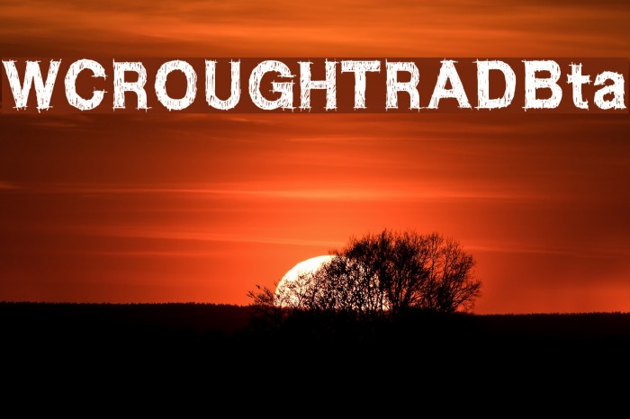 WCROUGHTRADBta Example 2