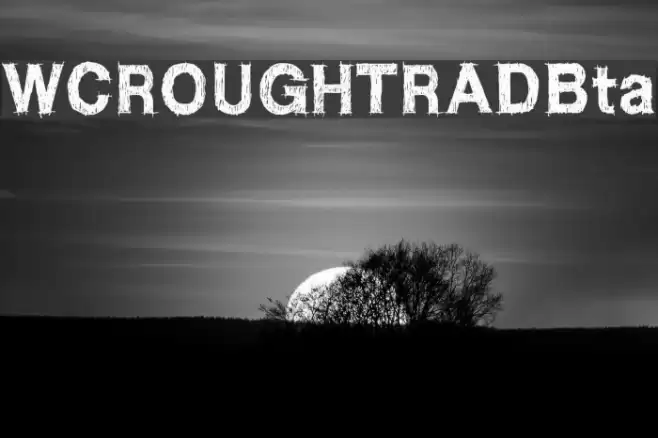 WCROUGHTRADBta Font examples