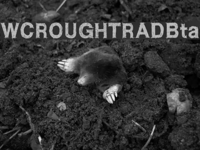 WCROUGHTRADBta Font examples