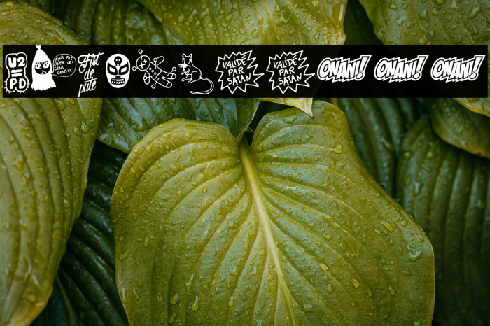 WCSchlaasss Example 1