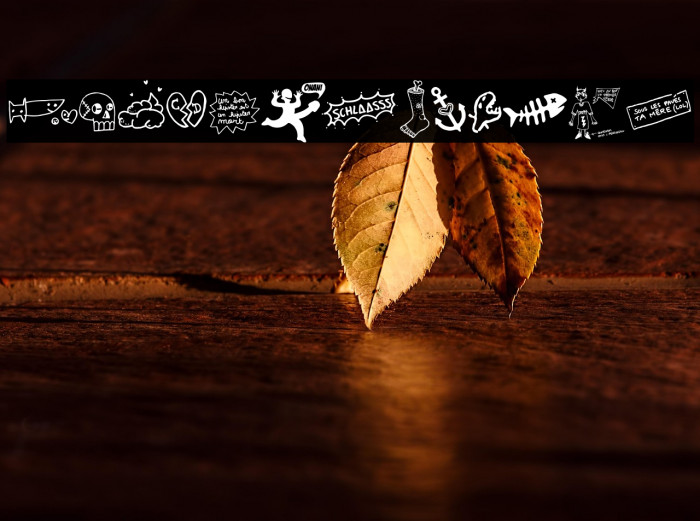 WCSlaasssch Example 2