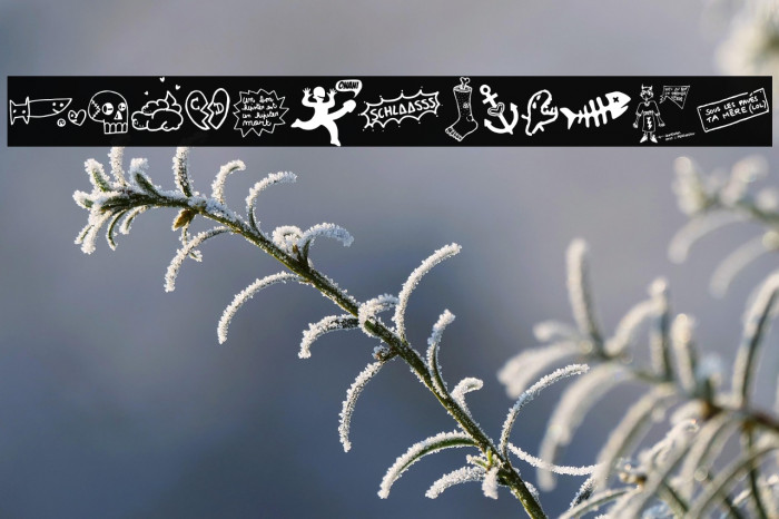 WCSlaasssch Example 3