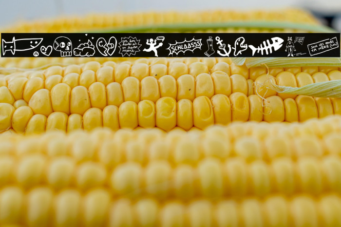 WCSlaassschClassic Example 1