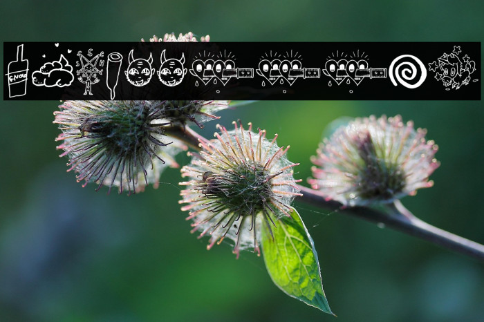 WCSlaasssch Example 2