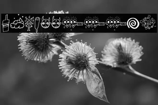 WCSlaasssch Font examples