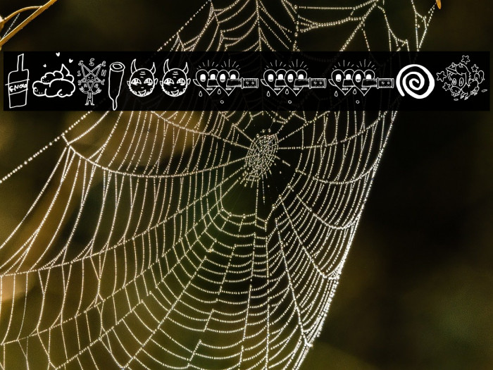 WCSlaasssch Example 3