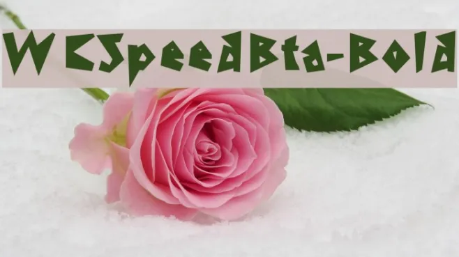 WCSpeedBta-Bold Example 1