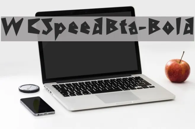 WCSpeedBta-Bold Example 2