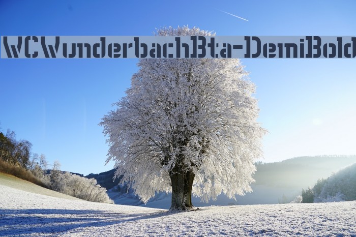 WCWunderbachBta-DemiBold Font examples