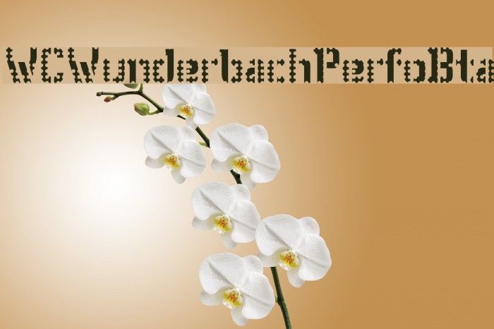 WCWunderbachPerfoBta Font examples
