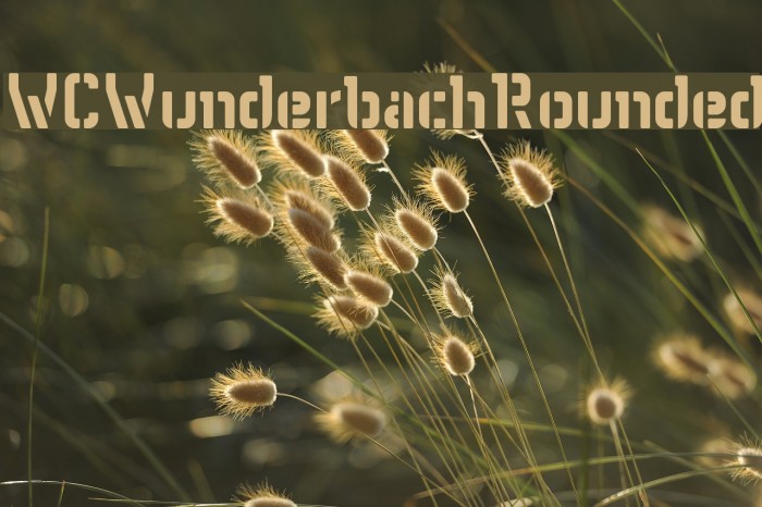WCWunderbachRounded Font examples