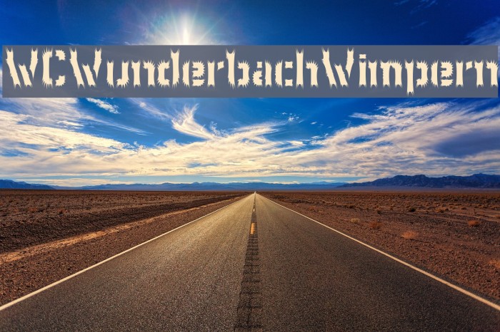 WCWunderbachWimpern Font examples