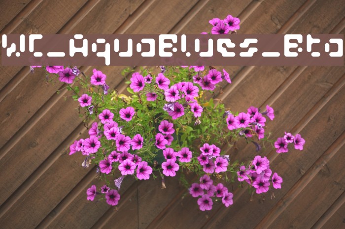 WC_AquaBlues_Bta Font examples