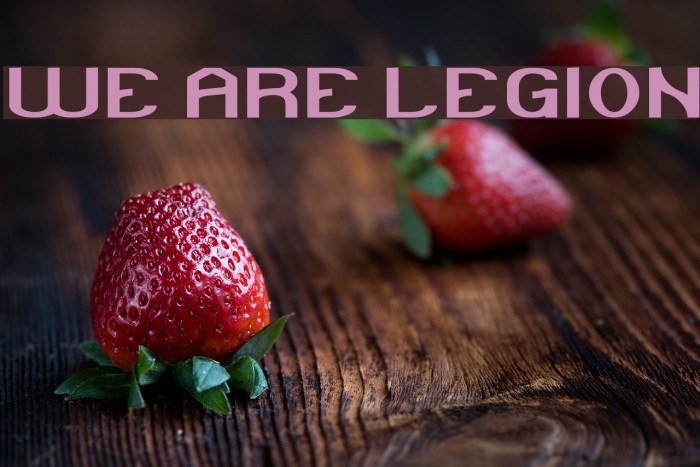 WE ARE LEGION Font examples