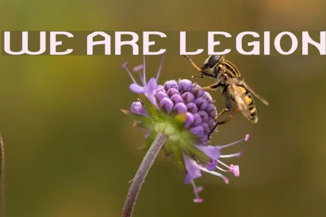 WE ARE LEGION Example 2