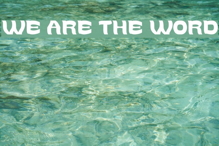 WE ARE THE WORD Font examples